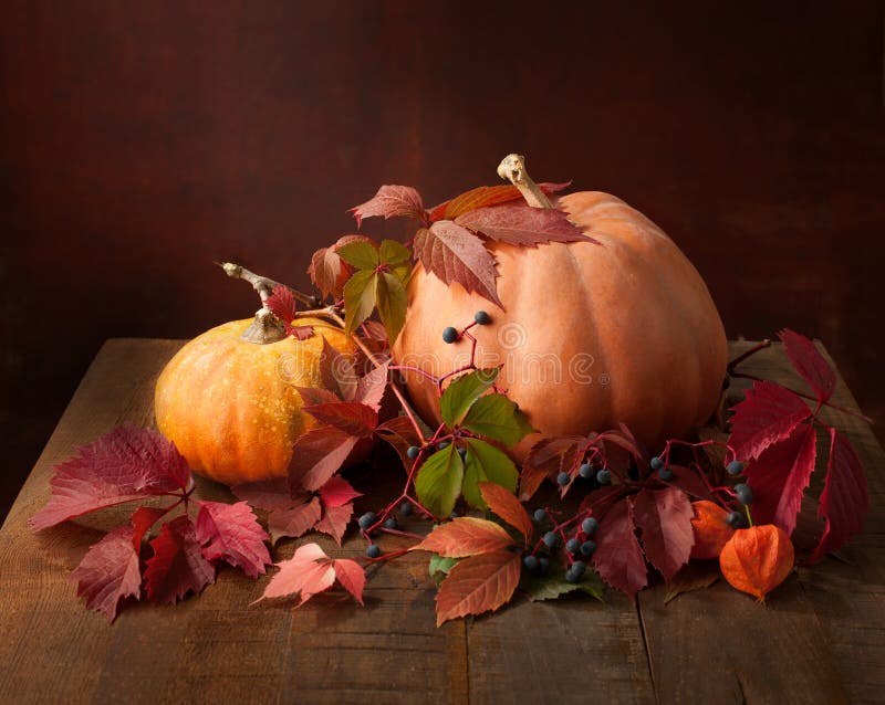 Autumn still life - pumpkins, autumn leaves and physalis royalty free stock photo Autumn still life - pumpkins, autumn leaves and physalis royalty free stock photo