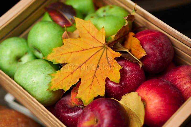 Autumn still life in rustic style as a background - leaves, vegetables and fruits, nuts and other natural food ingredients on