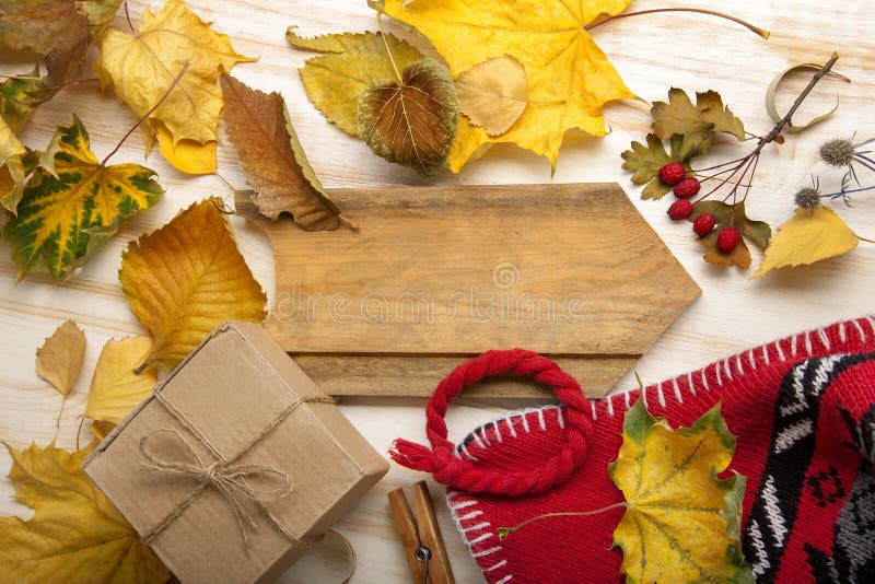 Autumn Still Life-Strickmützegeschenkblätter und getrocknete Beeren lizenzfreie stockfotografie Autumn Still Life-Strickmützegeschenkblätter und getrocknete Beeren lizenzfreie stockfotografie