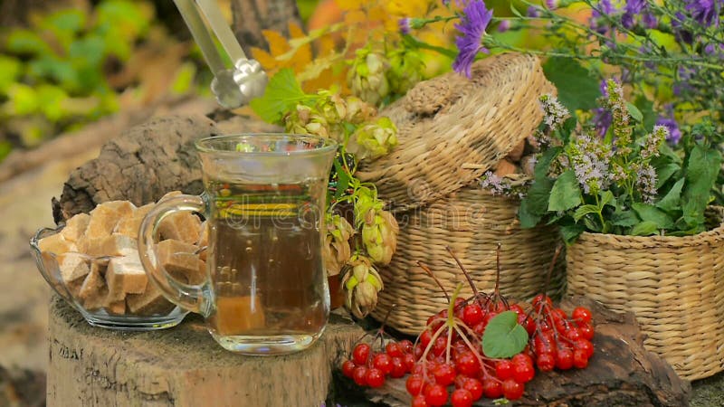 Autumn Still Life With Tea And Berries