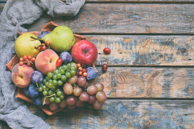 Autumn still life for thanksgiving with autumn fruits and berries on wooden background - grapes, apples, plums, viburnum, dogwood