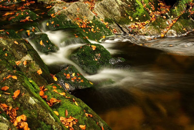 the autumn republic torrent the autumn republic torrent