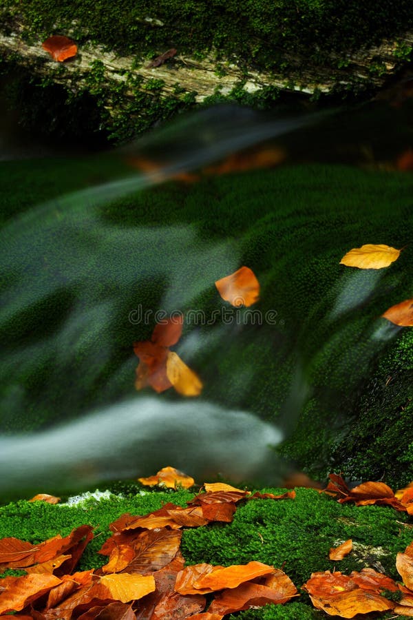 Autumn stream in Giant mountains