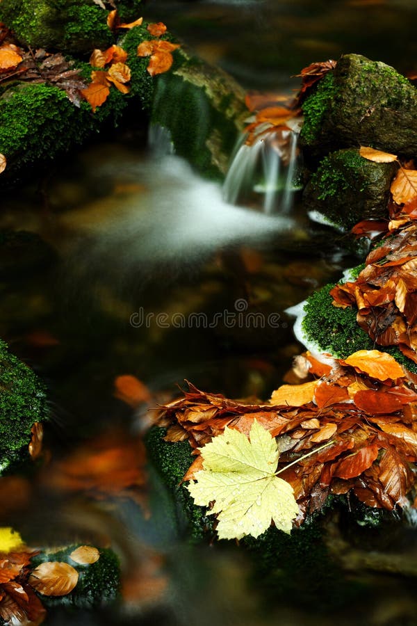 Autumn stream in Giant mountains