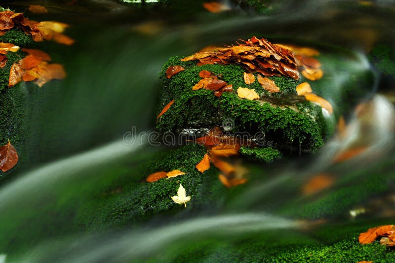 Autumn stream in Giant mountains