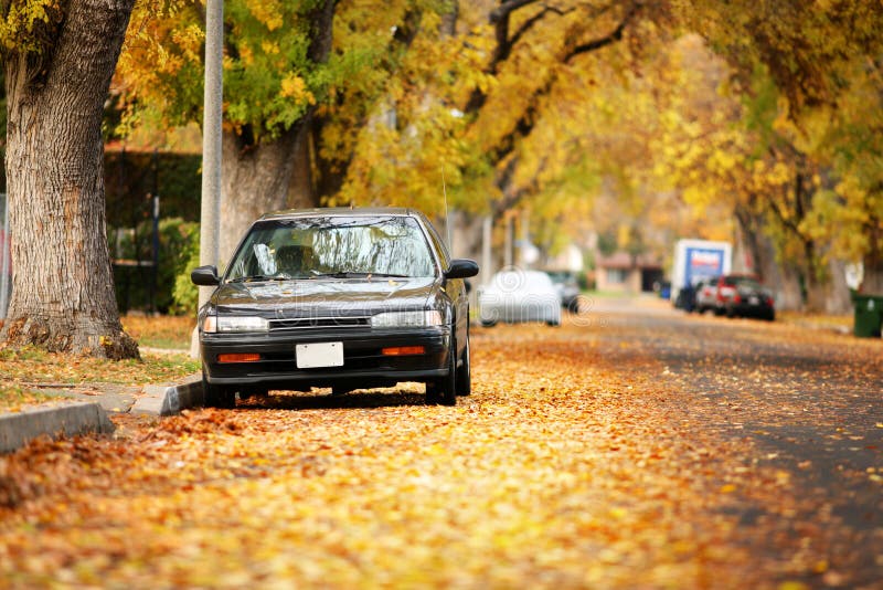 Autumn street