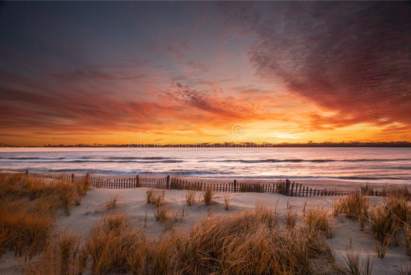 Autumn sunrise at the beach with grass and a dune fence in the foreground