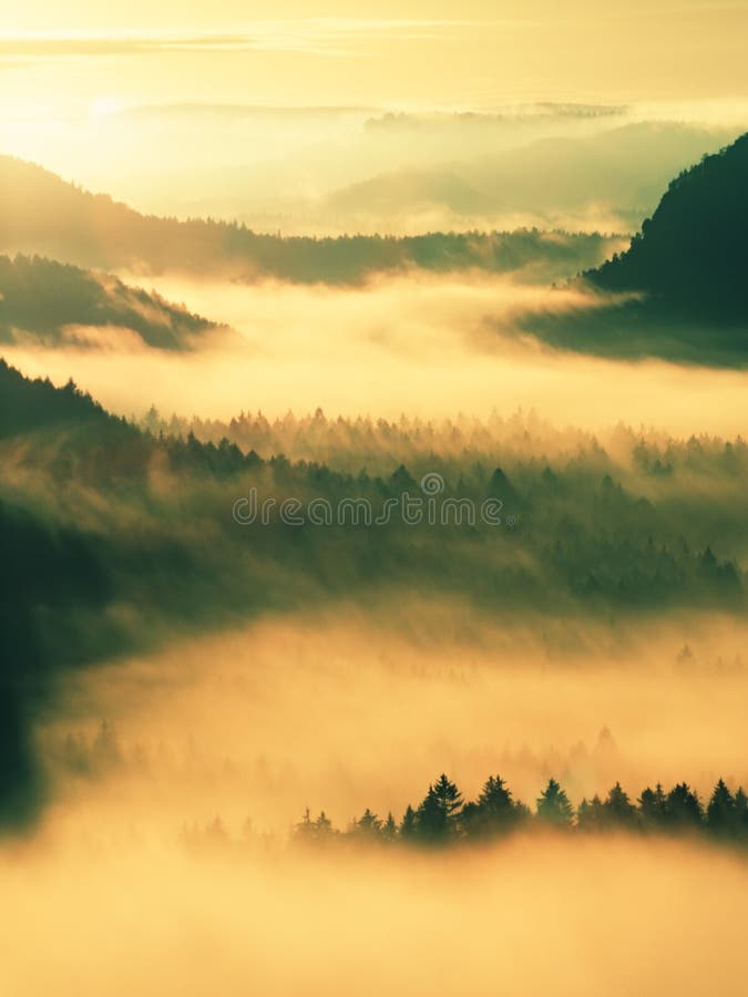Autumn Sunrise Mooie berg van Bohemen Treetops en de pieken van heuvels stegen van gele en oranje mist gestreepte wegens streptok