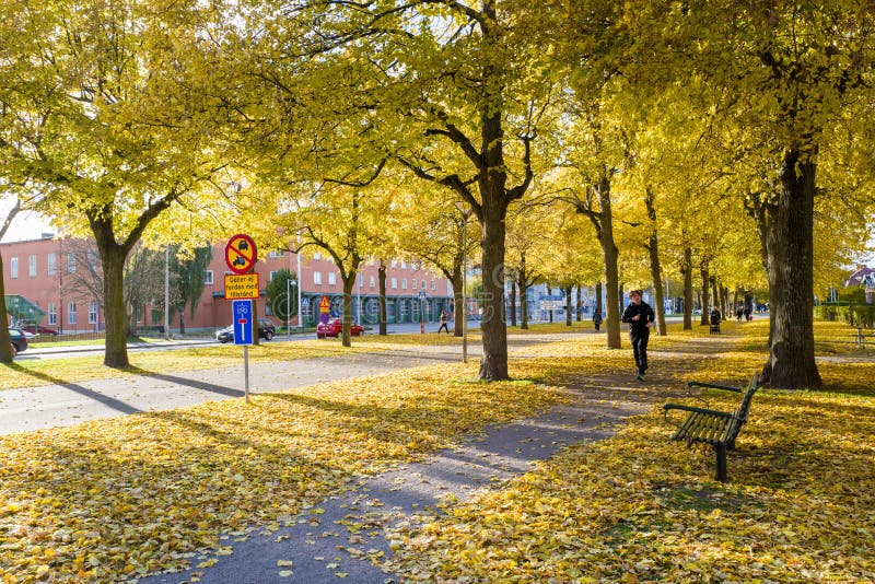 Norrkoping, Sweden - October 25, 2015: A young man jogging on the Southern Promenade on a sunny and colorful autumn day in Norrkoping. Norrkoping, Sweden - October 25, 2015: A young man jogging on the Southern Promenade on a sunny and colorful autumn day in Norrkoping.