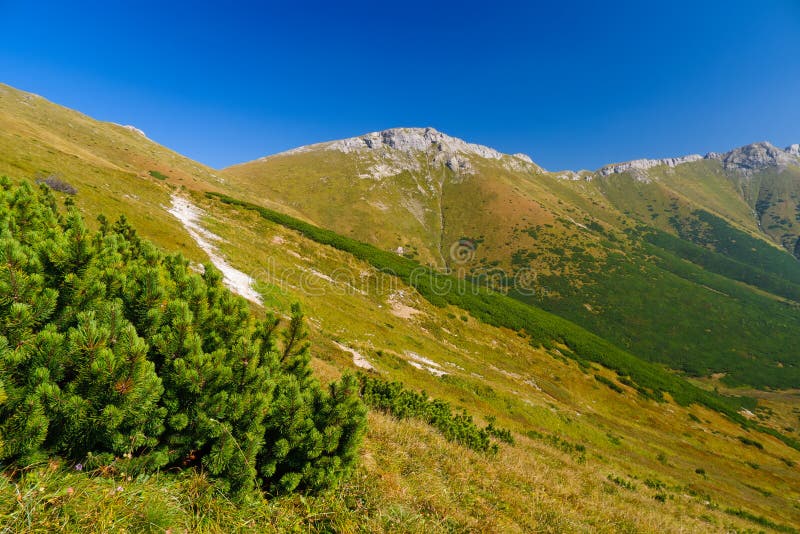 Jeseň v Tatrách Bielskie Mountains