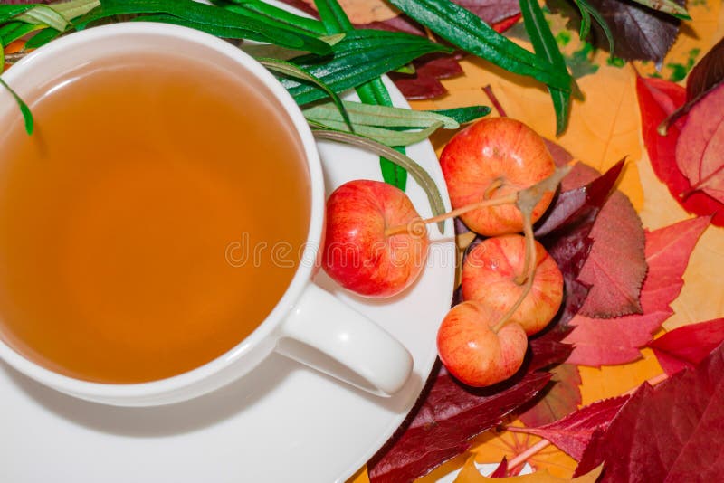 Autumn tea, still life with a cup of hot drink against the background of fallen leaves royalty free stock photography Autumn tea, still life with a cup of hot drink against the background of fallen leaves royalty free stock photography