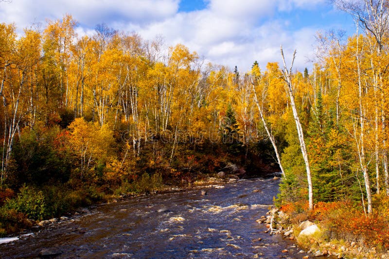 Autumn, temperance river