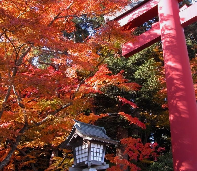 Autumn temple gate