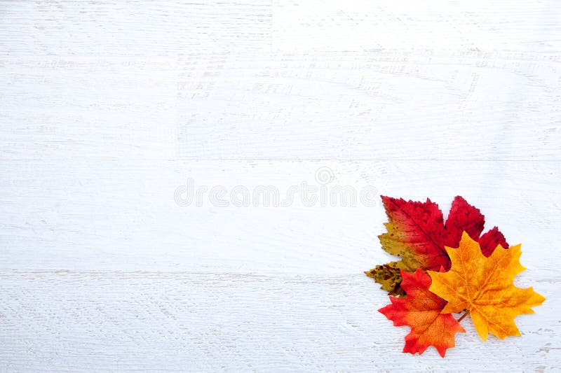 Autumn Thanksgiving Background imagen de archivo libre de regalías Autumn Thanksgiving Background imagen de archivo libre de regalías