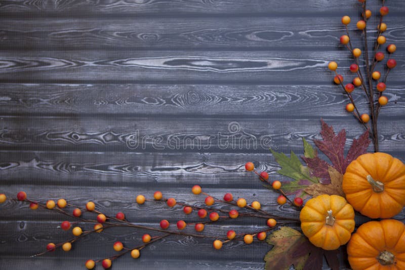 Autumn thanksgiving background for holidays