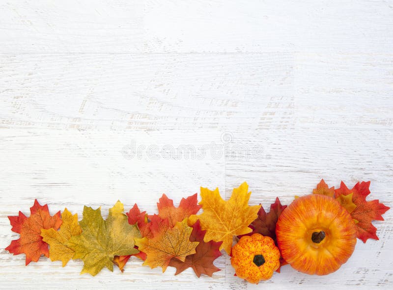 Autumn thanksgiving leaves on wood background. Autumn thanksgiving leaves on wood background