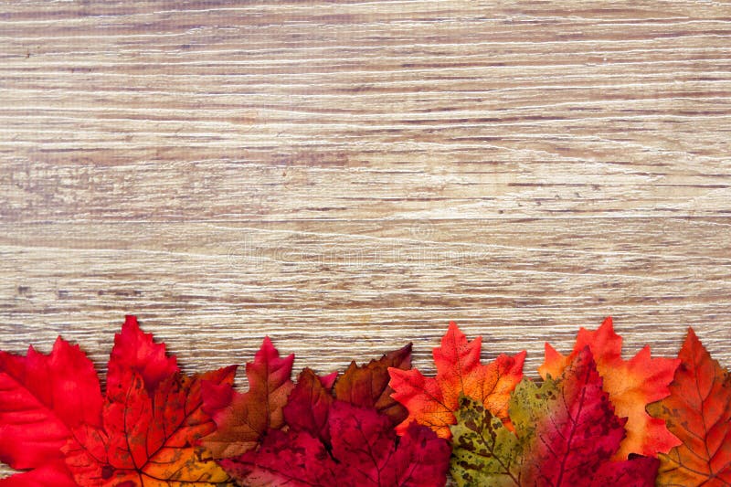 Autumn Thanksgiving Background on wood