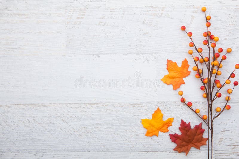 Autumn Thanksgiving Background on wood