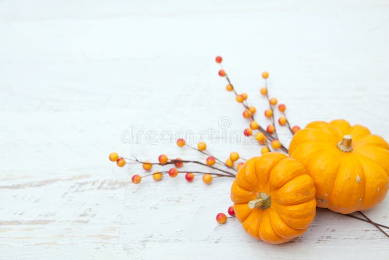 Autumn Thanksgiving Background stock photo Autumn Thanksgiving Background stock photo