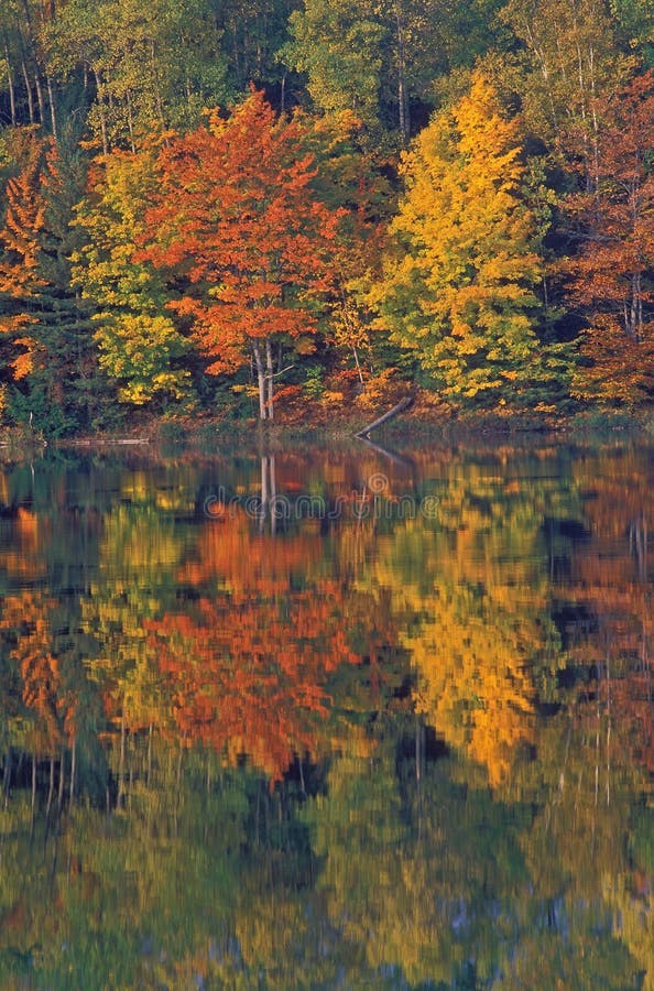 Autumn Thornton Lake stock images