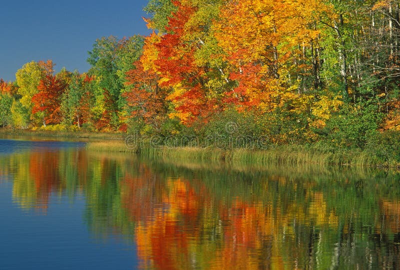 Autumn Thornton Lake royalty free stock photo