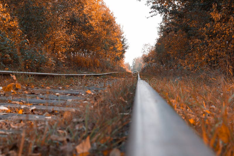 Autumn time, railroad tracks against the background of fallen leaves