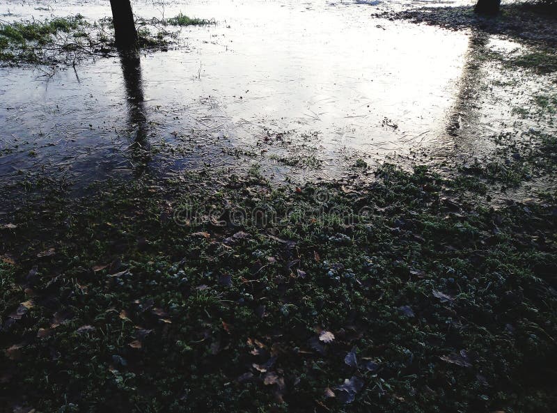 A sheet of ice with reflected trees stock photo