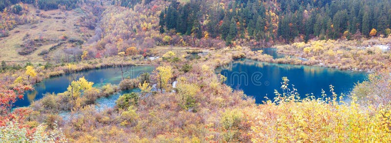 Autumn tree and lake panorama in Jiuzhaigou