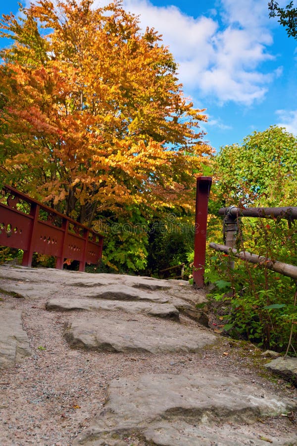Autumn Tree Red Wooden Bridge Stone Laid Pathway Stock Photos Free