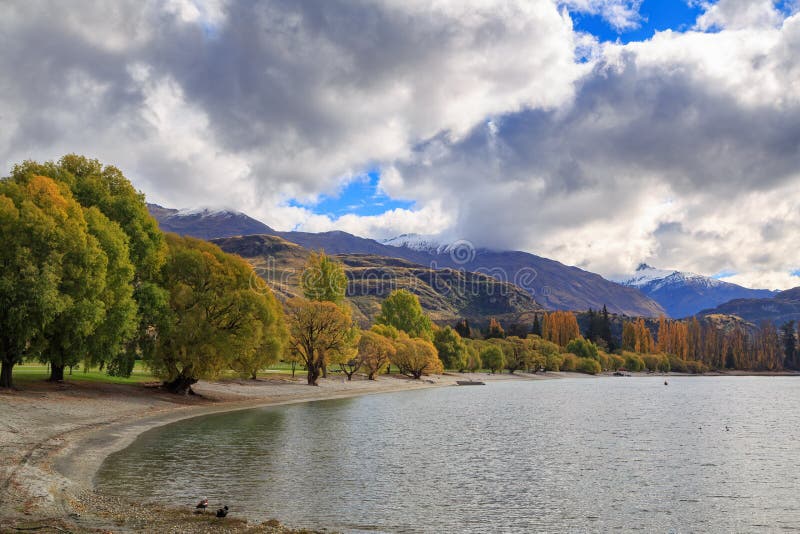 Autumn trees surrounding a lake in New Zealand