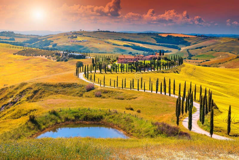 Autumn Tuscany-landschap met gebogen weg en cipres, Italië, Europa