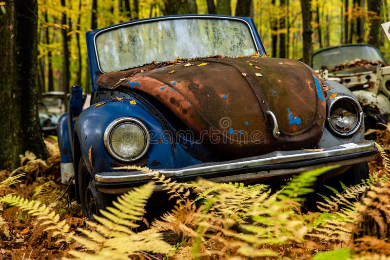 Vintage VW Beetle - Volkswagen Type I - Pennsylvania Junkyard stock photo Vintage VW Beetle - Volkswagen Type I - Pennsylvania Junkyard stock photo