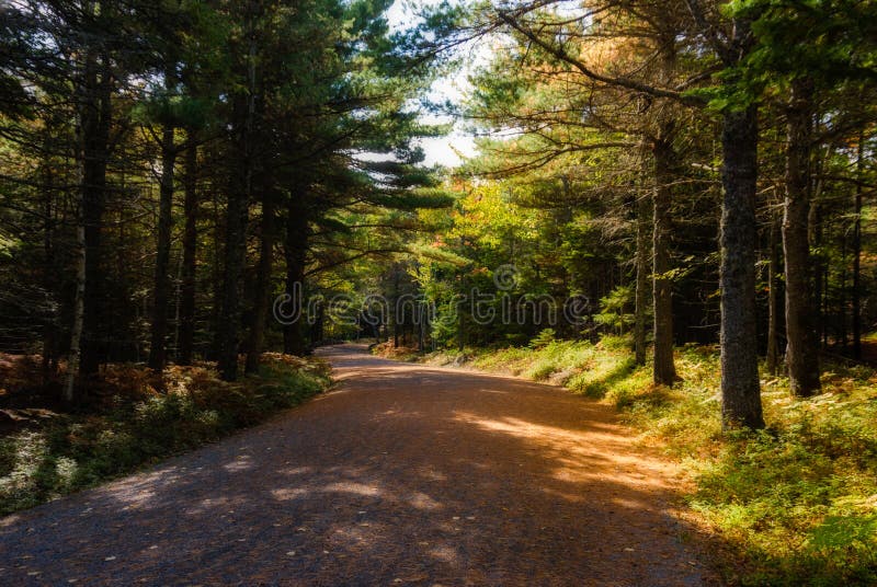 Autumn Views, Carriage Road, Acadia National Park, Maine. Autumn Views on the Carriage Roads in Acadia National Park on Mount Desert Island in Maine; USA stock photography Autumn Views, Carriage Road, Acadia National Park, Maine. Autumn Views on the Carriage Roads in Acadia National Park on Mount Desert Island in Maine; USA stock photography