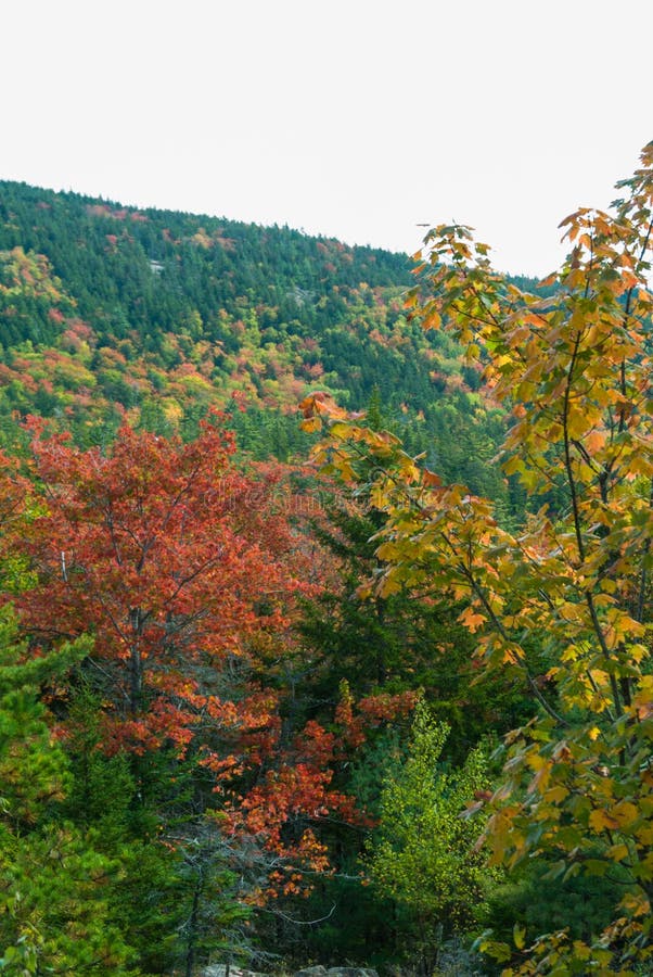 Autumn Views from Carriage Road, Acadia NP, Maine. Autumn Views on Carriage Roads in Acadia National Park on Mount Desert Island in Maine, USA royalty free stock photo Autumn Views from Carriage Road, Acadia NP, Maine. Autumn Views on Carriage Roads in Acadia National Park on Mount Desert Island in Maine, USA royalty free stock photo