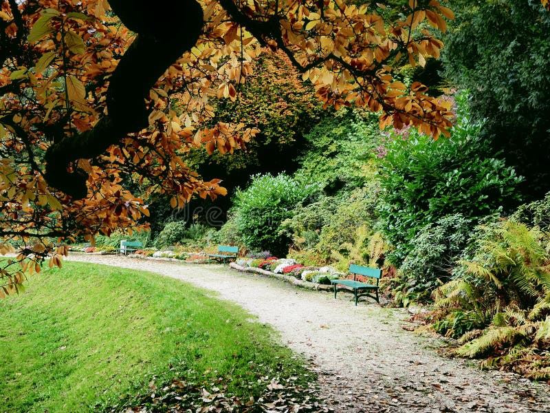 Autumn walk between colorful trees and bushes