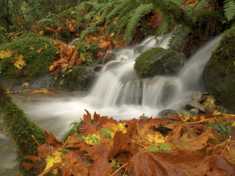 910 Bc Waterfall Photos Free And Royalty Free Stock Photos From Dreamstime