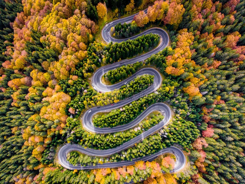 Autumn Winding Road in the Forest aerial view. Transalpina stock images, royalty-free photos and pictures
