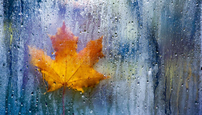Autumn window leaf rain drops