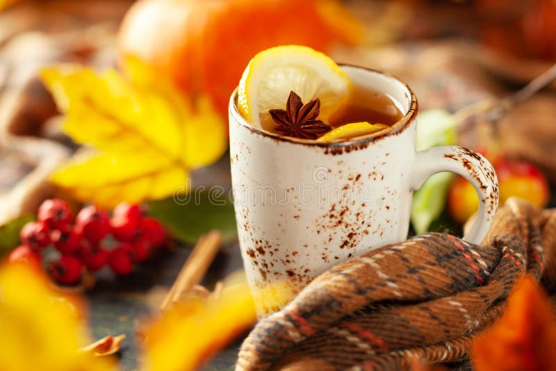 Autumn or winter spice tea in mug with seasonal fruits, berries, pumpkin and leaves on wooden table
