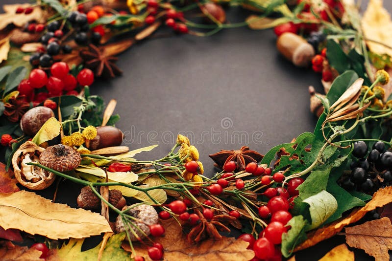 Autumn wreath of fall leaves, red berries, acorns, anise, nuts, autumn flowers closeup on black background. Happy Thanksgiving stock photos Autumn wreath of fall leaves, red berries, acorns, anise, nuts, autumn flowers closeup on black background. Happy Thanksgiving stock photos