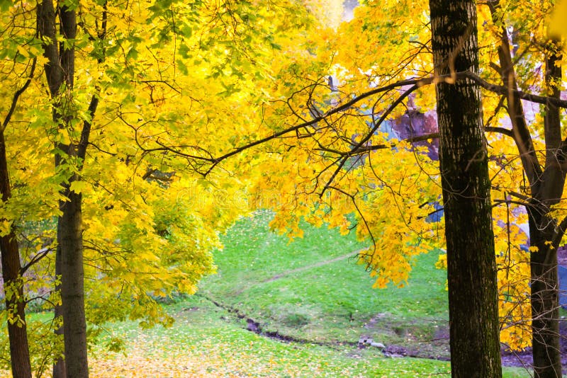 Autumn yellow trees. Tsaritsyno Park, Moscow, Russia