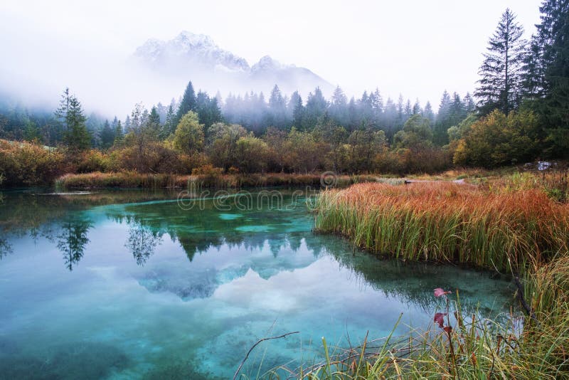 Autumn in Zelenci nature reserve