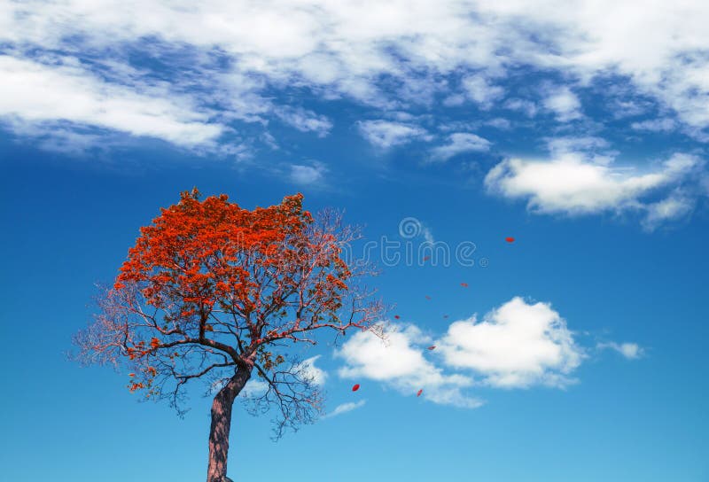 Autumnal abstract background with red small tree