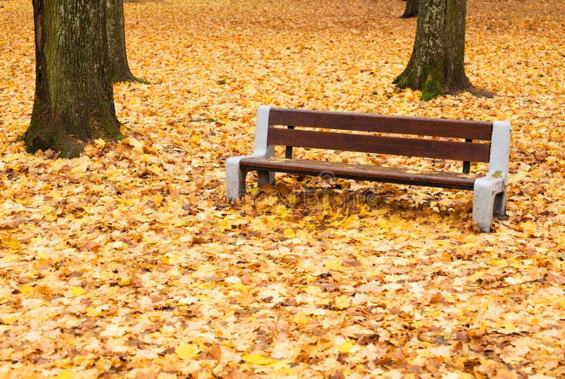 Autumnal bench