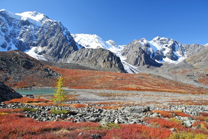 Autumnal colors in Altai Mountains