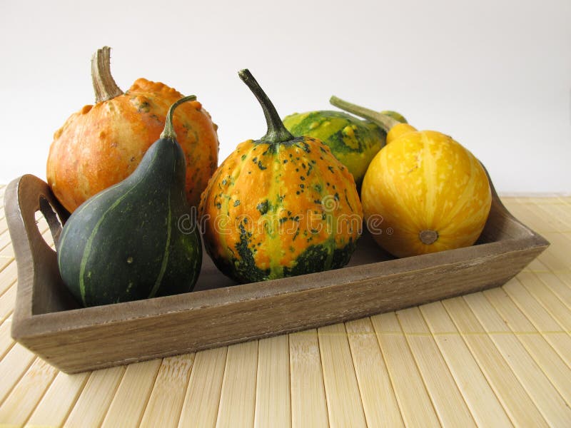 Autumnal Decoration with Ornamental Gourds Stock Image Image of tray
