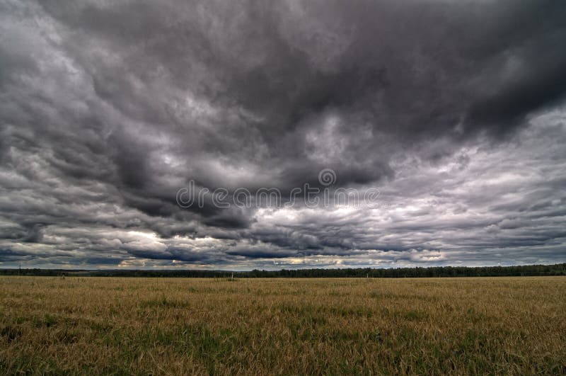 Autumnal field and sky