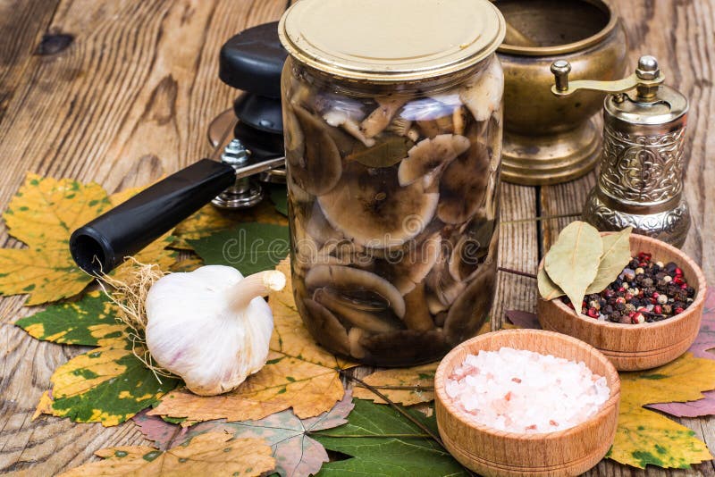 Autumnal forest marinated mushrooms in glass jar, salt, spices on wooden table. Ingredient, cellar.