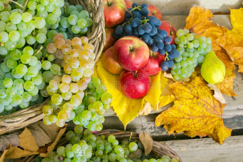 Autumn still life with harvest in leaves