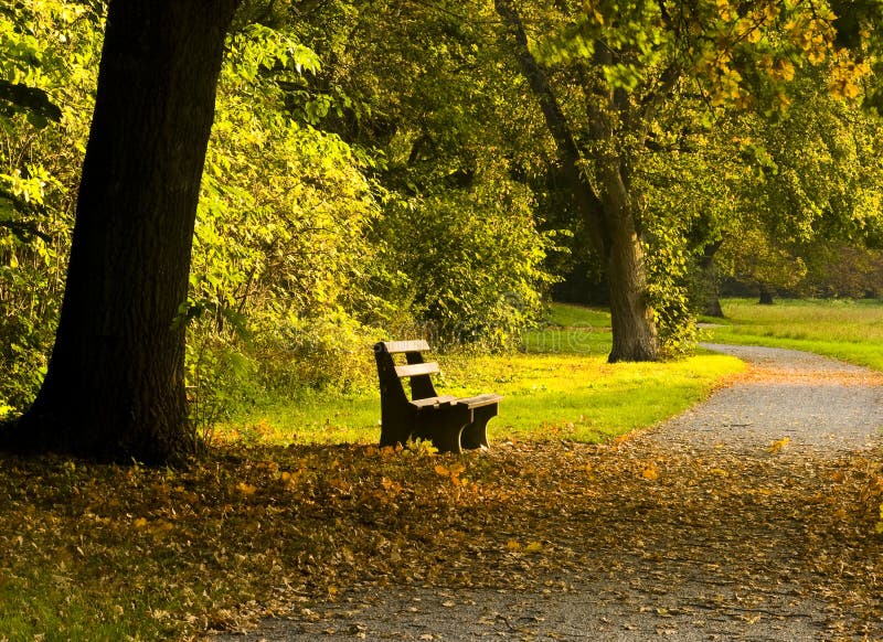 Autumnal landscape in the park